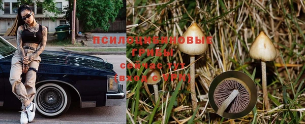 MDMA Premium VHQ Новозыбков
