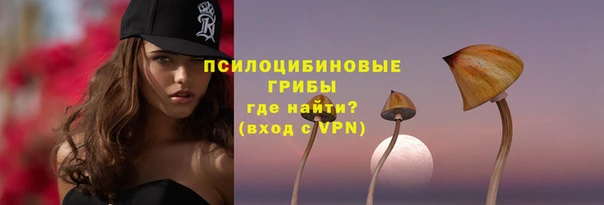 MDMA Premium VHQ Новозыбков