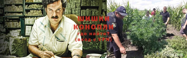 каннабис Новокубанск