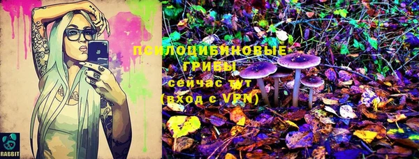мескалин Новодвинск